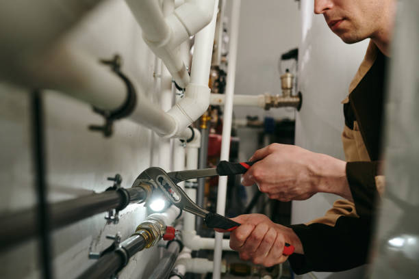 Best Commercial Plumbing Services  in Roseville, MN
