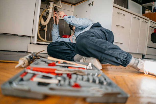 Best Local Plumber Services  in Roseville, MN