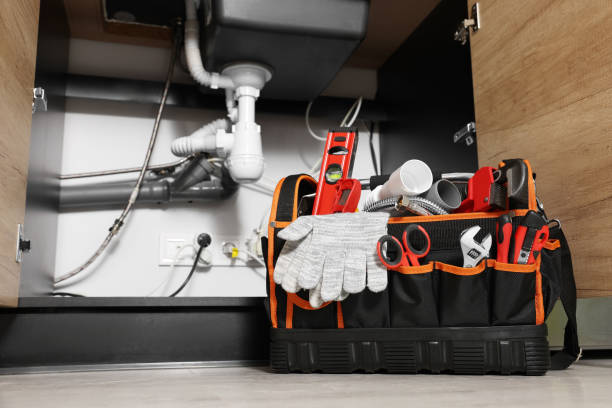 Best Affordable Plumbing Services  in Roseville, MN