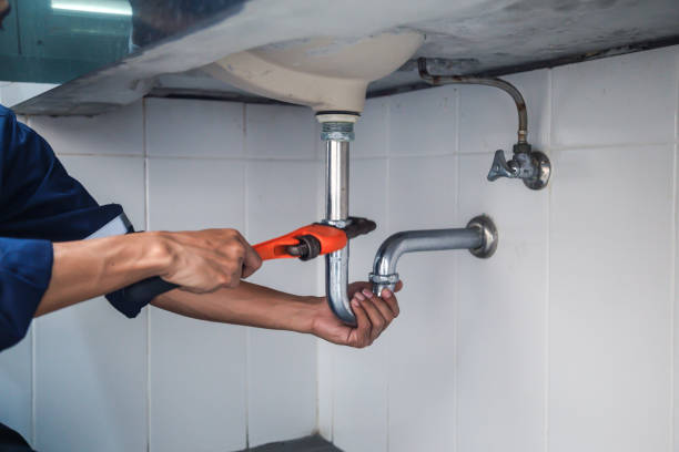 Best Plumbing Services Near Me  in Roseville, MN