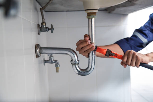 Best Affordable Plumber Near Me  in Roseville, MN
