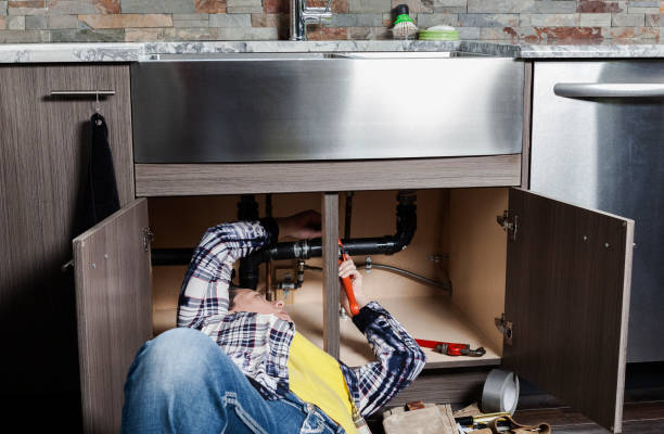 Best Clogged Drain Plumber  in Roseville, MN