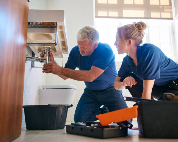 Best Gas Line Repair  in Roseville, MN